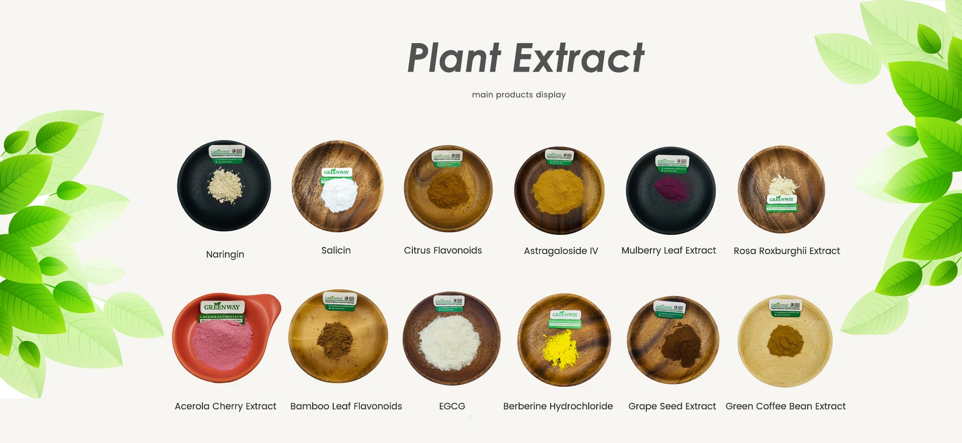 Plant Extct Powder Supplier - Greenway Biotech 